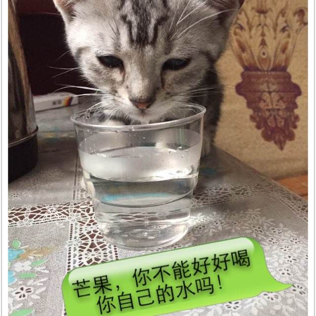 奥克兰大学学位证电子图